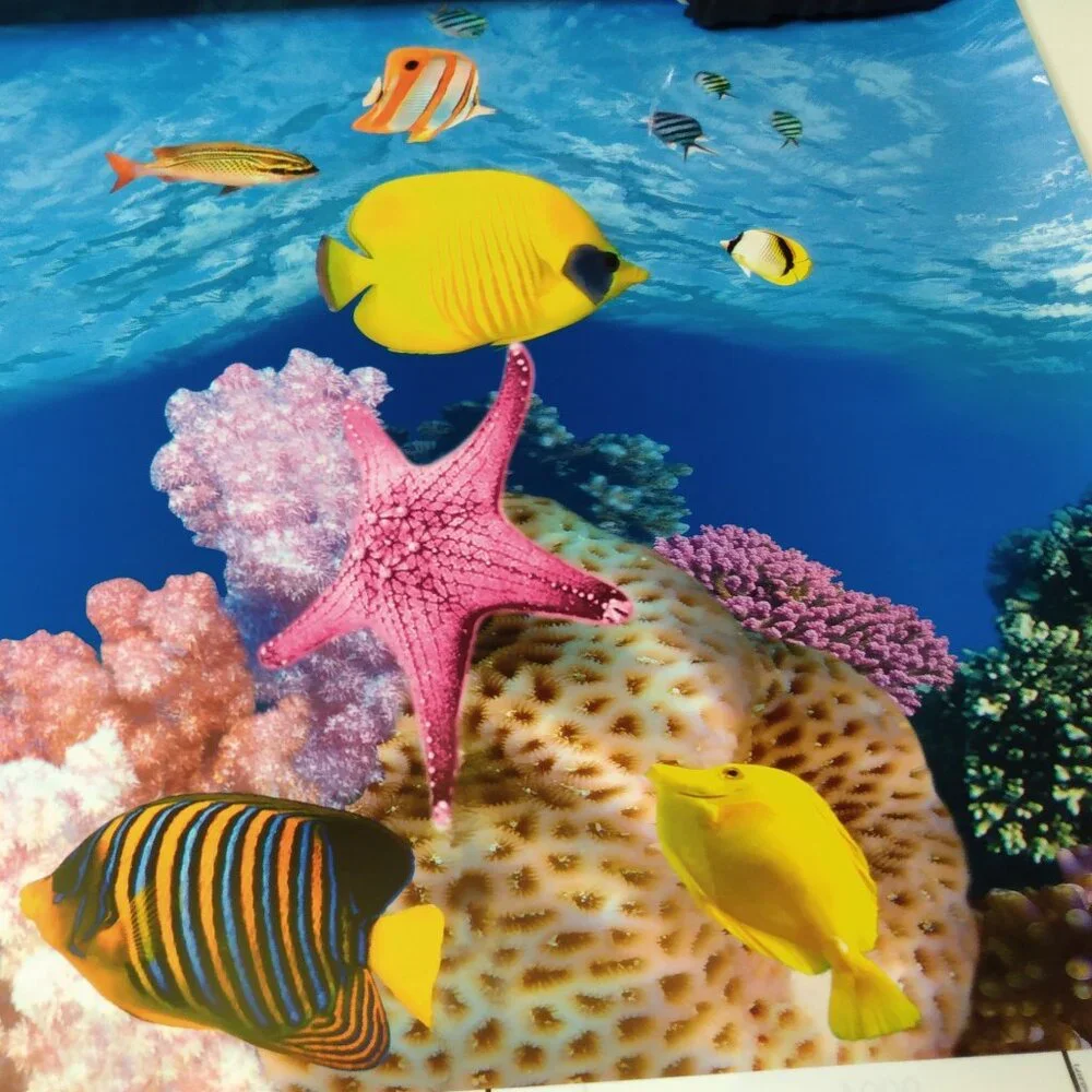 Fishtank backing pictures approximately 17 1/2